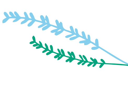 Green & Blue Leafs Illustration