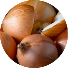 Onion